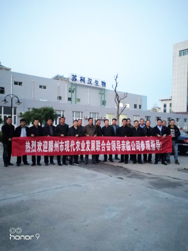 本月十号，滕州市农业局，山东省马铃薯协会和平度马铃薯协会领导来厂参观